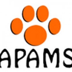 APAMS Software